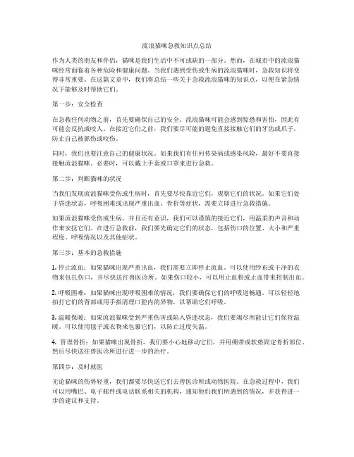 流浪猫咪急救知识点总结