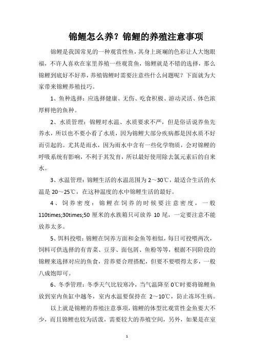锦鲤怎么养？锦鲤的养殖注意事项