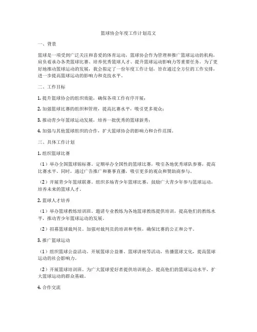 篮球协会年度工作计划范文