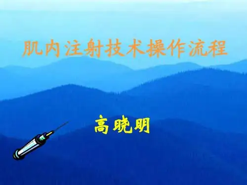 肌内注射技术操作流程.