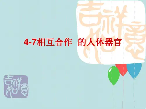 教科小学科学四上《4.7、相互协作的人体器官》PPT课件(2)[精选]