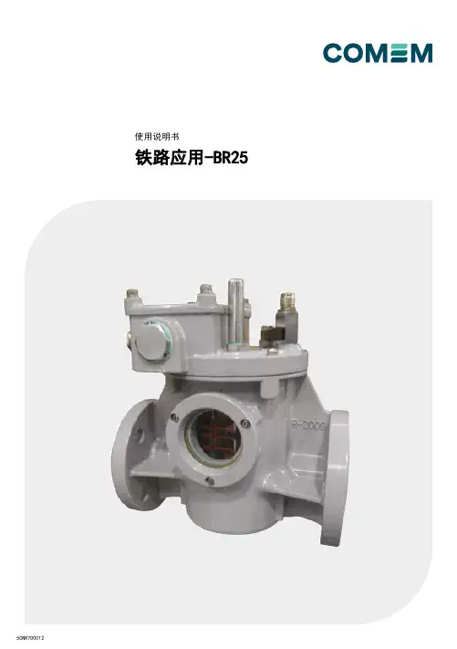 BR25继电器使用说明书