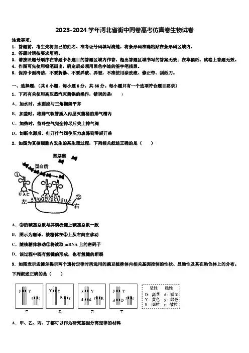 2023-2024学年河北省衡中同卷高考仿真卷生物试卷含解析