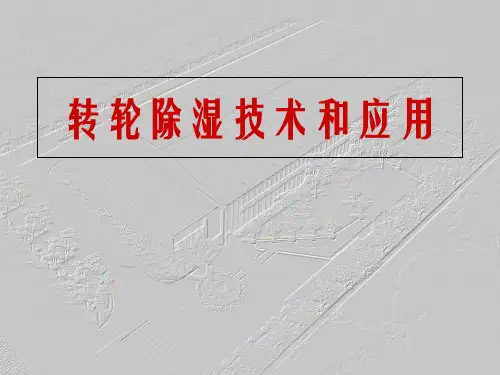 转轮除湿原理及应用 PPT