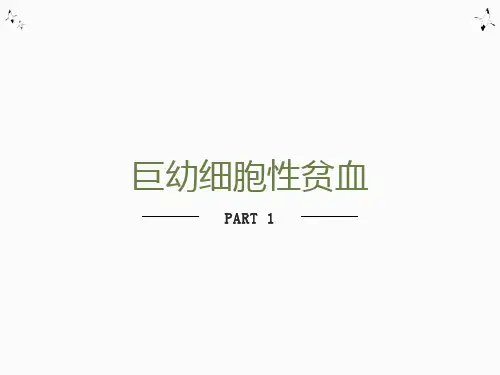 血液学检验巨幼细胞性贫血课件
