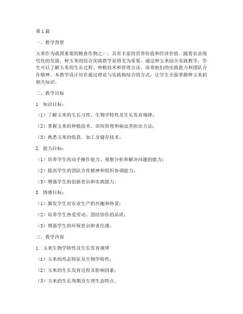 种玉米综合实践教学设计(3篇)