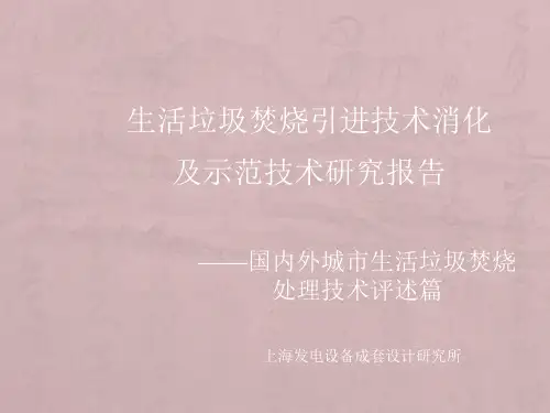 国内外城市生活垃圾焚烧处理技术评述