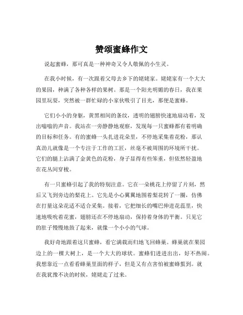 赞颂蜜蜂作文