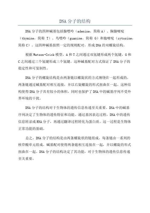 DNA分子的结构