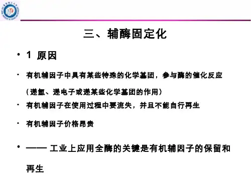 酶工程 固定化酶(3.2.1)--固定化辅酶