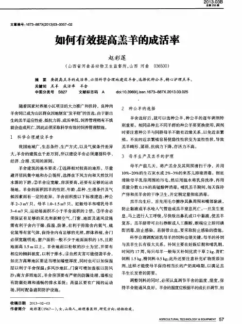 如何有效提高羔羊的成活率