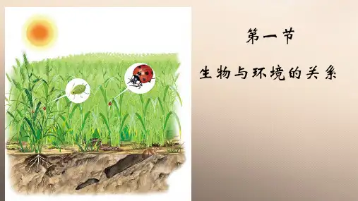 人教版 七年级上册 第一单元 第二章 第一节生物和环境的关系(共26PPT)优秀课件
