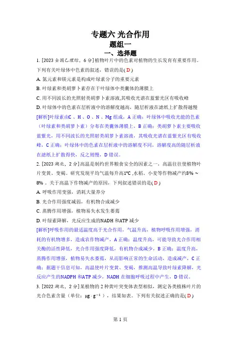 2024高考题分类训练(生物)专题六 光合作用