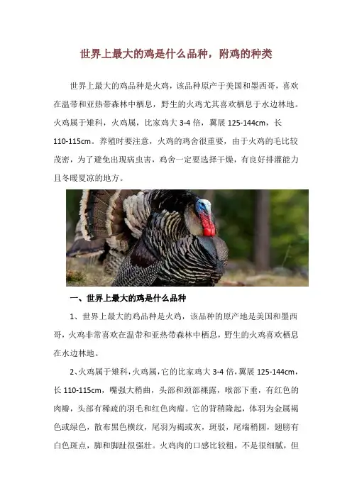 世界上最大的鸡是什么品种,附鸡的种类