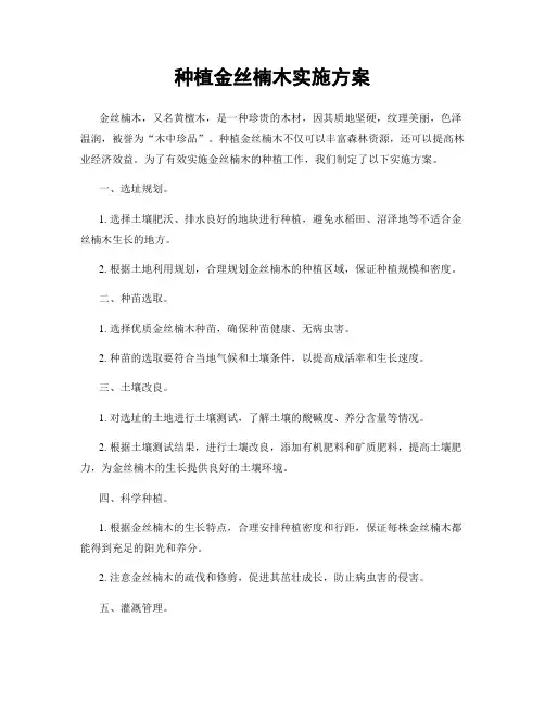 种植金丝楠木实施方案