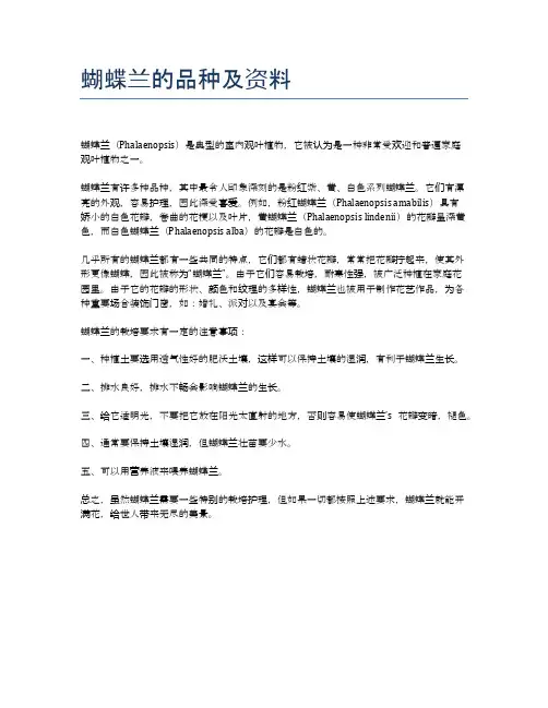 蝴蝶兰的品种及资料