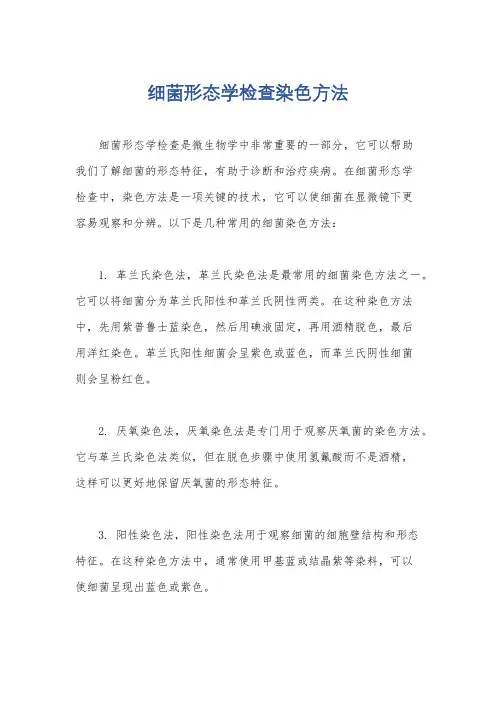 细菌形态学检查染色方法