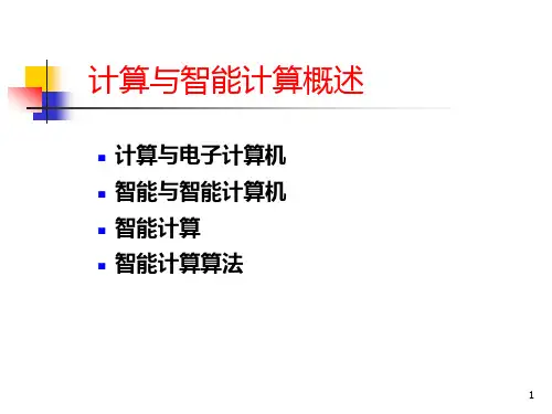 智能计算1