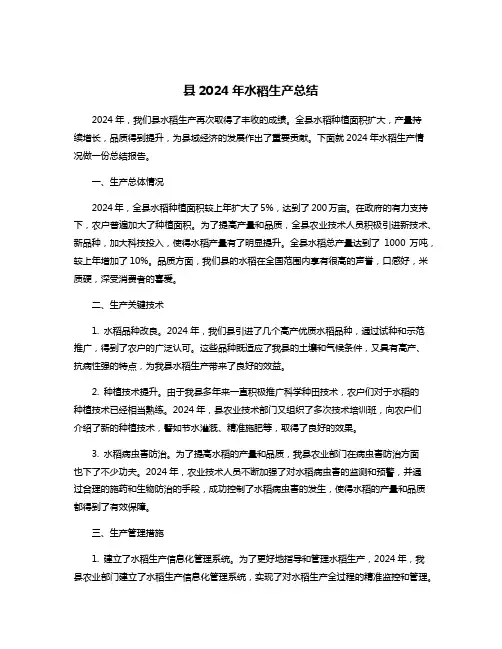 县2024年水稻生产总结