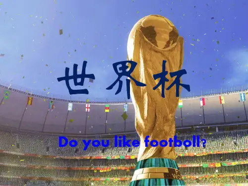 世界杯经典ppt.