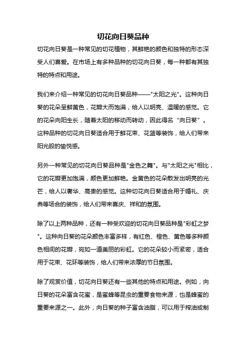 切花向日葵品种