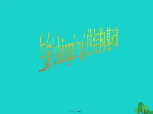 高中生物第一册第3章生命的结构基础课件(2)沪科版