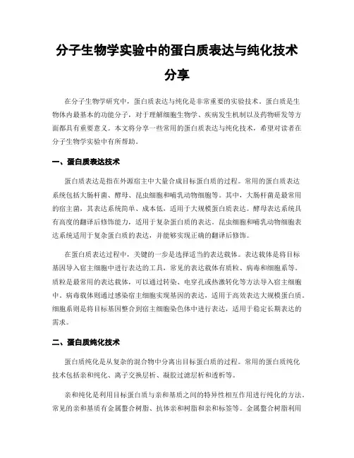 分子生物学实验中的蛋白质表达与纯化技术分享