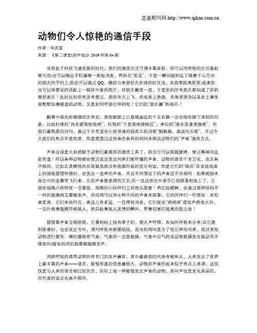 动物们令人惊艳的通信手段