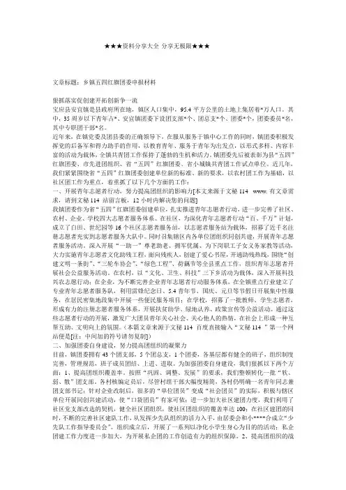 申报材料-乡镇五四红旗团委申报材料