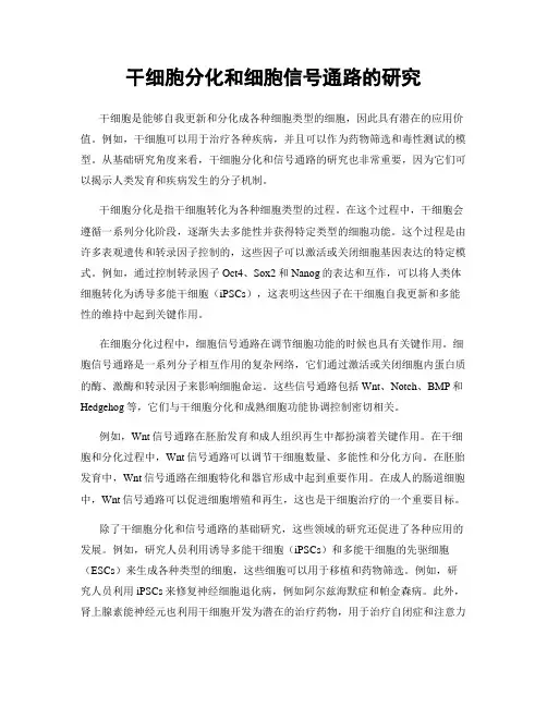 干细胞分化和细胞信号通路的研究