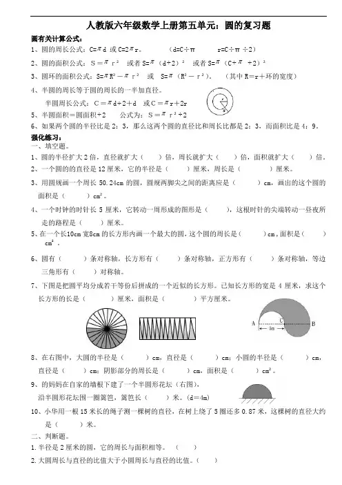 人教版六年级数学上册第五单元：圆的复习题