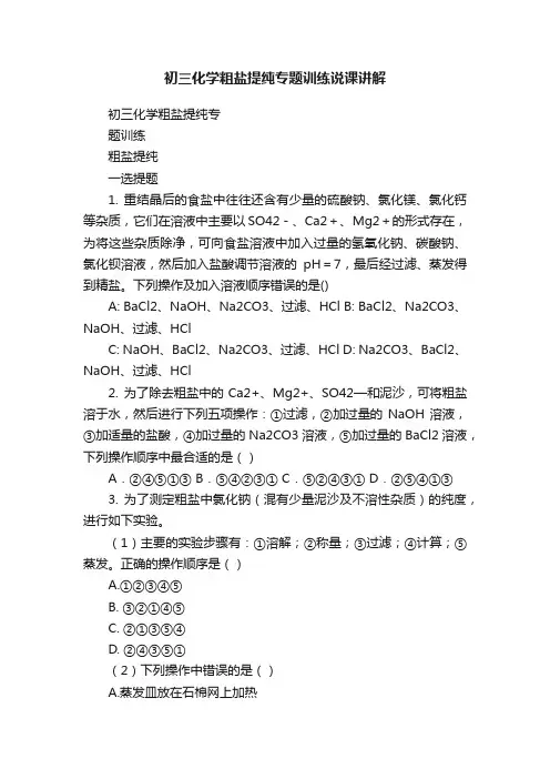 初三化学粗盐提纯专题训练说课讲解