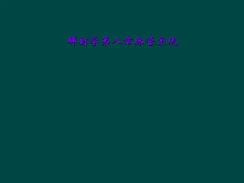 解剖学第八章脉管系统