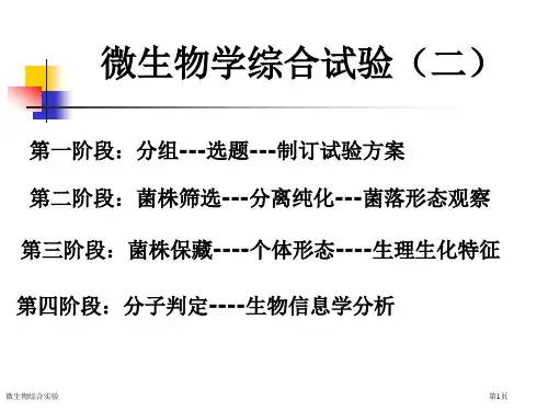 微生物综合实验