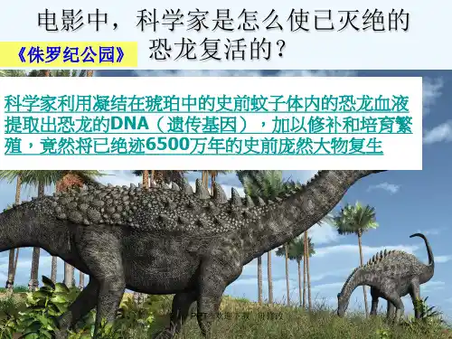 基因指导蛋白质的合成(公开课)精品课件