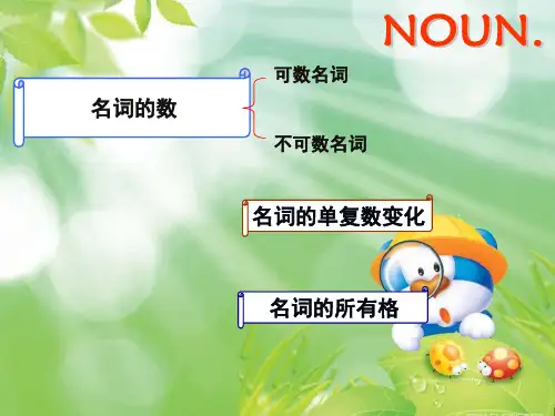 高中英语语法讲解：名词 课件(共25张PPT)