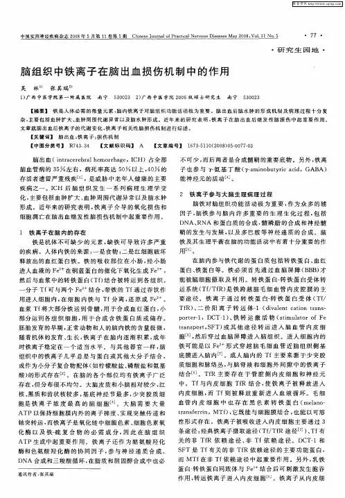 脑组织中铁离子在脑出血损伤机制中的作用