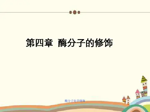 酶分子化学修饰