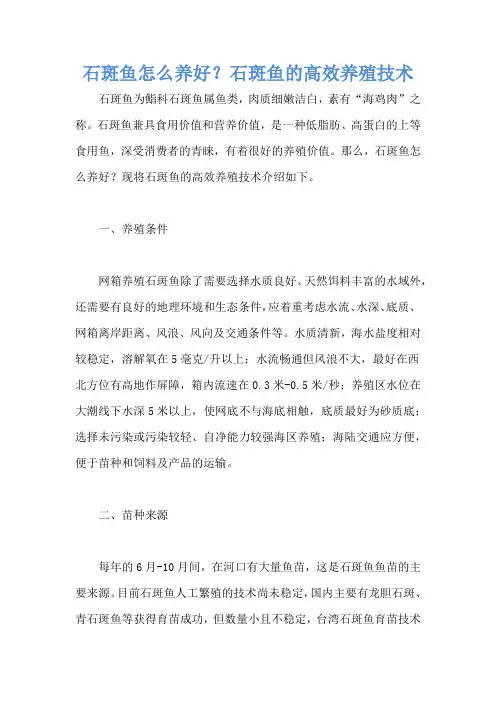 石斑鱼怎么养好？石斑鱼的高效养殖技术