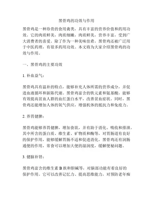 黑骨鸡的功效与作用