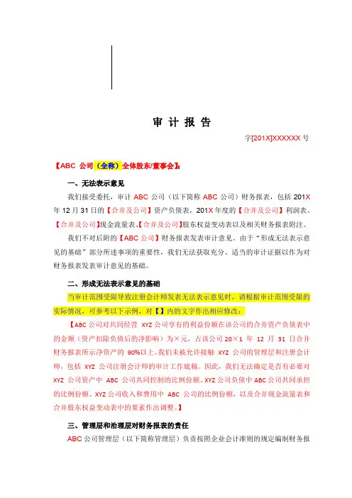 无法表示意见审计报告(适用于非上市公司)