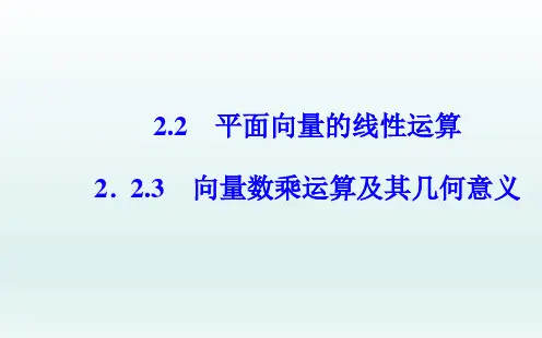 人教A版必修四  2.2.3向量数乘运算及其几何意义  课件(41张)
