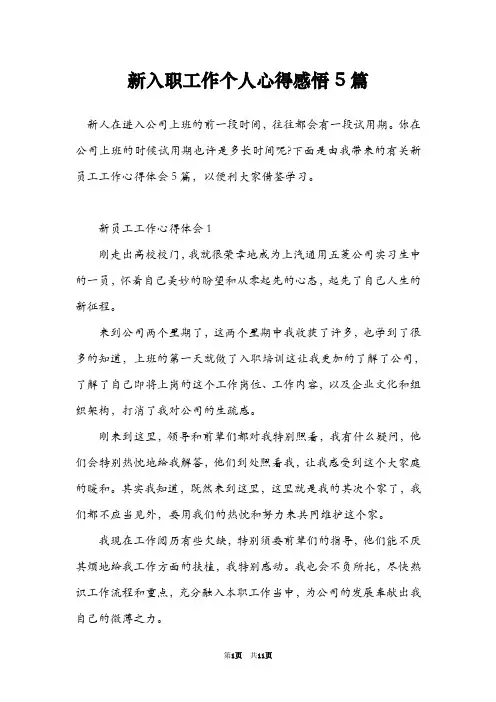 新入职工作个人心得感悟5篇