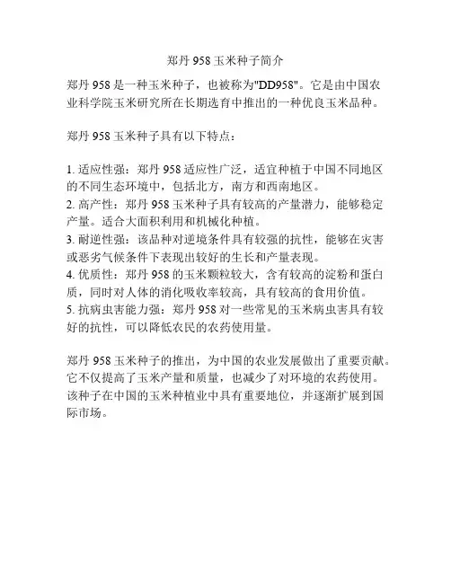 郑丹958玉米种子简介