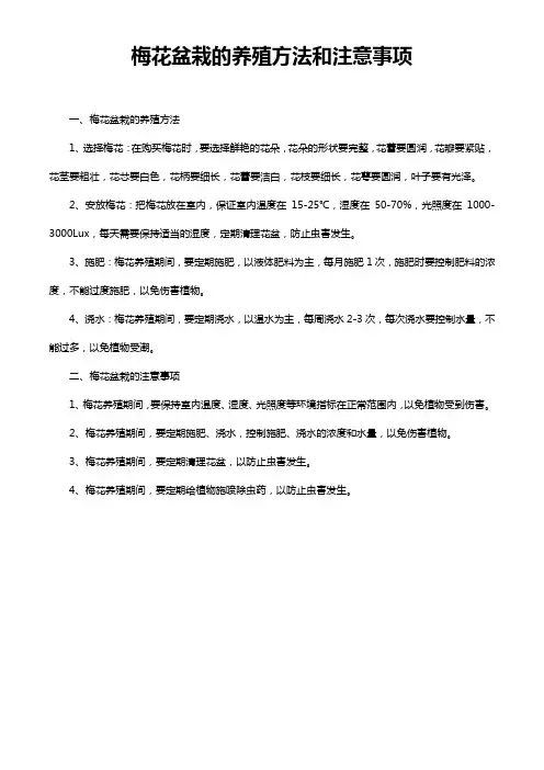 梅花盆栽的养殖方法和注意事项