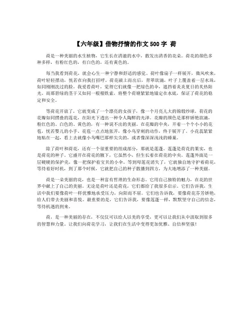 【六年级】借物抒情的作文500字 荷