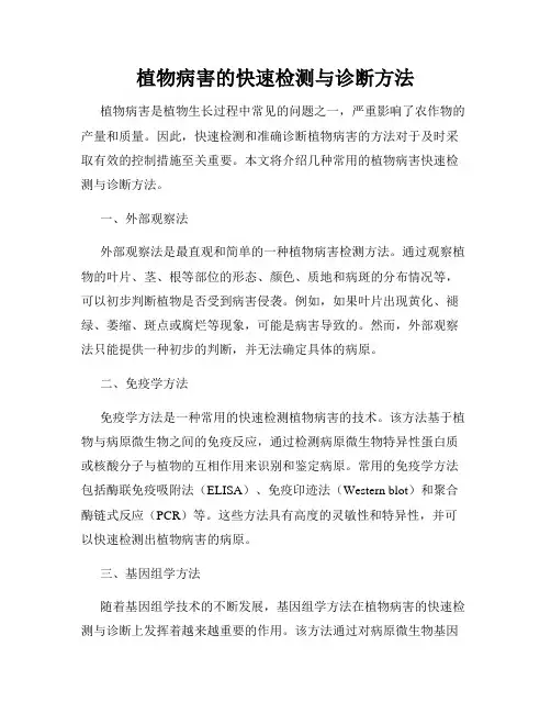植物病害的快速检测与诊断方法