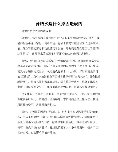 肾结水是什么原因造成的