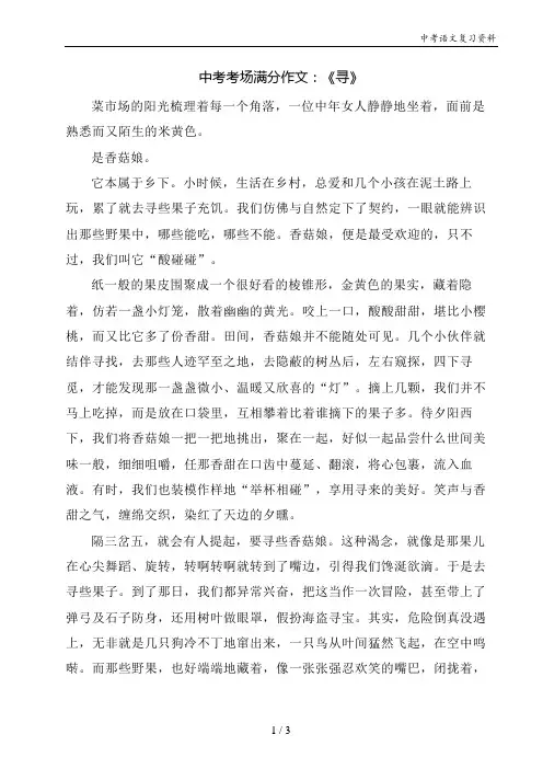 中考考场满分作文：《寻》