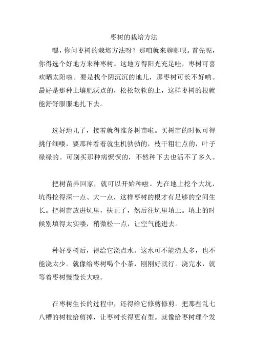 枣树的栽培方法